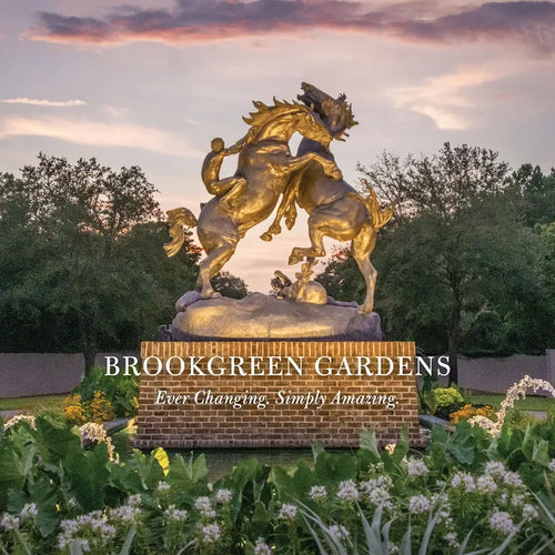 Brookgreen Gardens: Ever Changing. Simply Amazing. - Hardcover