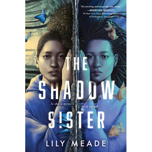 The Shadow Sister - Paperback