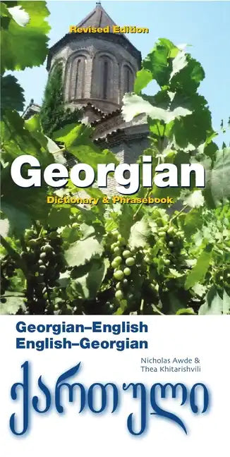 Georgian-English/English-Georgian Dictionary & Phrasebook - Paperback