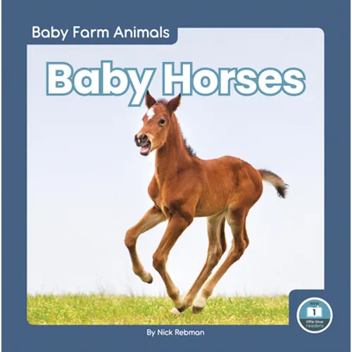 Baby Horses - Paperback
