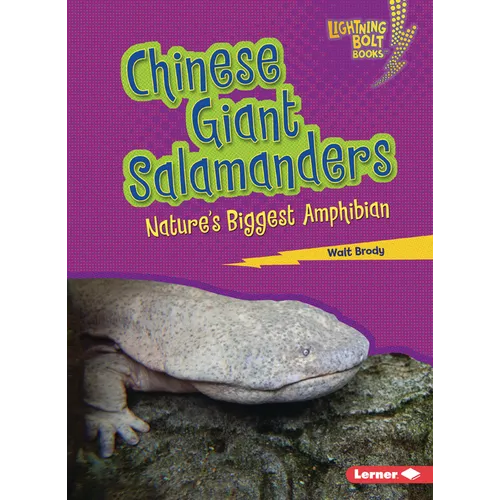 Chinese Giant Salamanders: Nature's Biggest Amphibian - Paperback