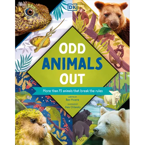 Odd Animals Out - Hardcover