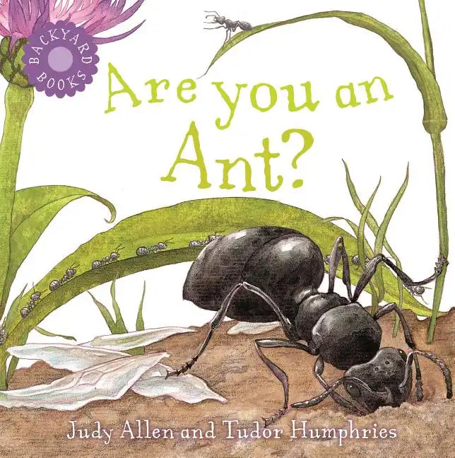 Are You an Ant? - Paperback