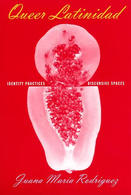 Queer Latinidad: Identity Practices, Discursive Spaces - Paperback