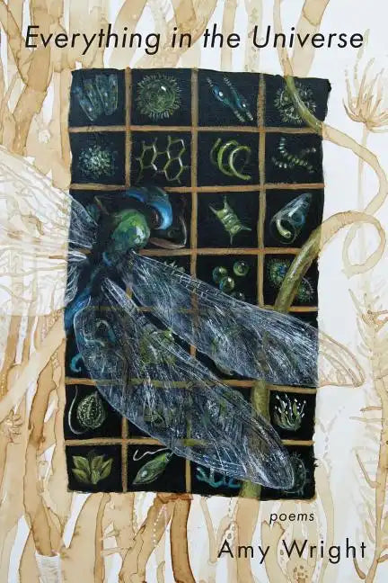 Everything in the Universe - Paperback