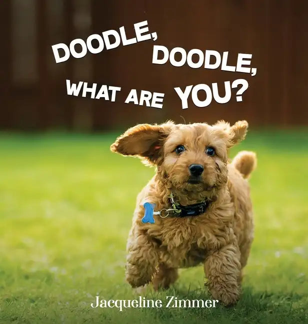 Doodle, Doodle, What Are You? - Hardcover