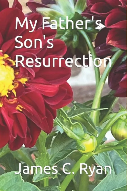 My Father's Son's Resurrection - Paperback