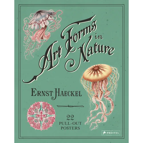 Art Forms in Nature: 22 Pull-Out Posters - Paperback