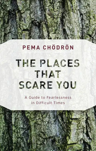 The Places That Scare You: A Guide to Fearlessness in Difficult Times - Paperback