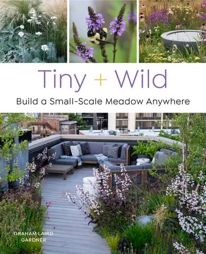 Tiny and Wild: Build a Small-Scale Meadow Anywhere - Paperback