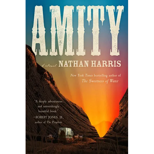 Amity - Paperback