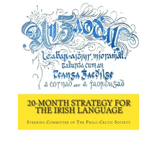 20-Month Strategy for the Irish Language - Paperback