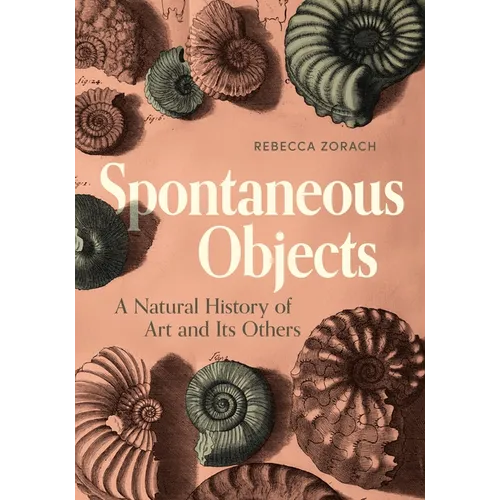 Spontaneous Objects: A Natural History of Art and Its Others - Hardcover