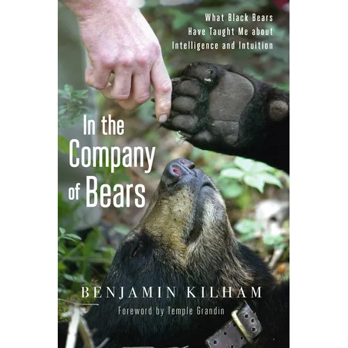 In the Company of Bears: What Black Bears Have Taught Me about Intelligence and Intuition - Paperback
