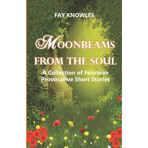 Moonbeams from the Soul: A Collection of Fourteen Provocative Short Stories - Paperback