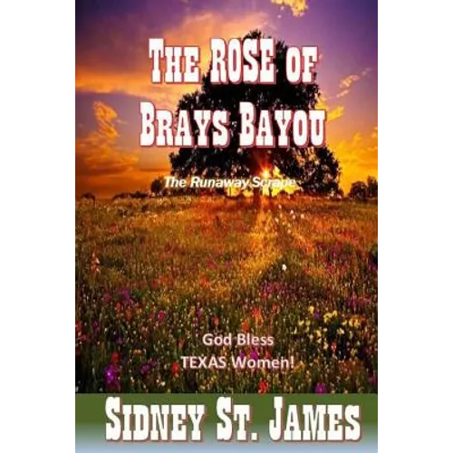 The ROSE of Brays Bayou: The Runaway Scrape - The Sabine Shoot - The Great Runaway - Paperback