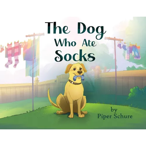 The Dog Who Ate Socks - Paperback