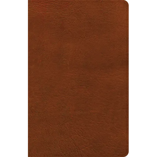 NASB Large Print Personal Size Reference Bible, Burnt Sienna Leathertouch, Indexed - Imitation Leather