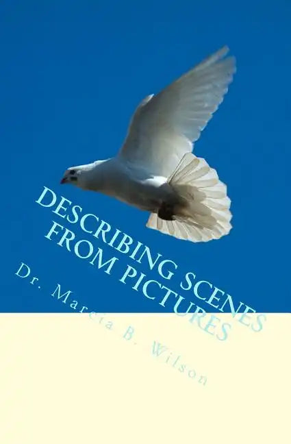 Describing Scenes from Pictures - Paperback