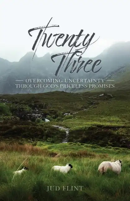 Twenty-Three: Overcoming Uncertainty Through God's Priceless Promises - Paperback