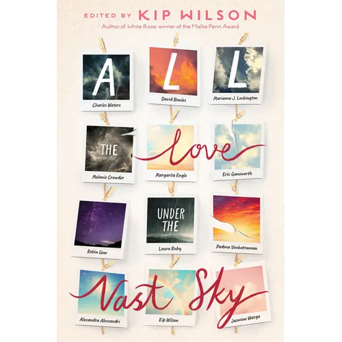 All the Love Under the Vast Sky - Hardcover