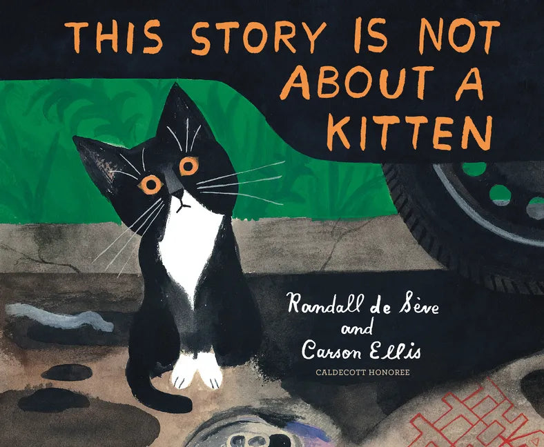 This Story Is Not about a Kitten - Hardcover