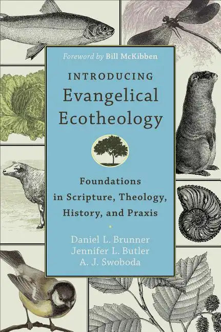 Introducing Evangelical Ecotheology: Foundations in Scripture, Theology, History, and Praxis - Paperback