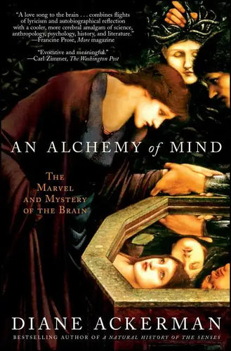 An Alchemy of Mind: The Marvel and Mystery of the Brain - Paperback