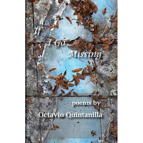 If I Go Missing - Paperback