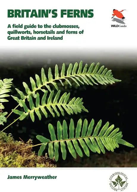 Ferns: Clubmosses, Quillworts and Horsetails of Britain and Ireland - Paperback
