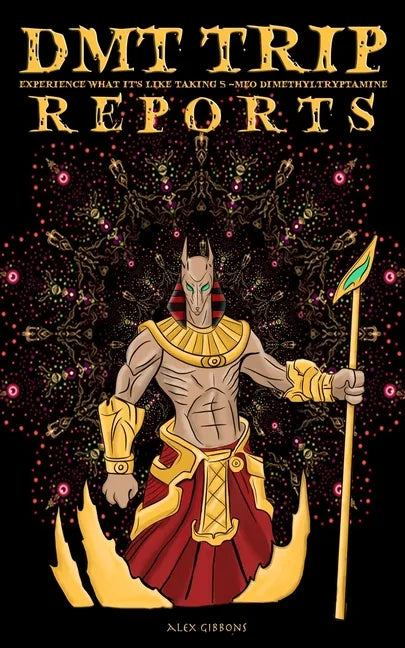 DMT Trip Reports - Experience What It's Like Taking 5 Meo Dimethyltrptamine - Paperback