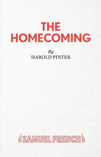 The Homecoming - A Play - Paperback