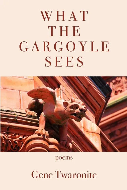 What the Gargoyle Sees - Paperback