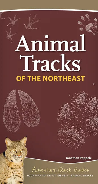 Animal Tracks of the Northeast: Your Way to Easily Identify Animal Tracks - Spiral