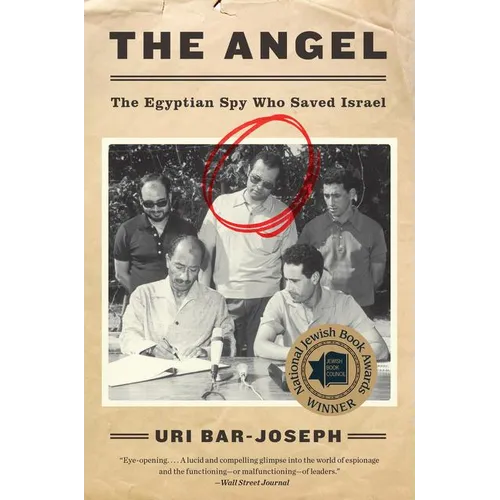 The Angel - Paperback
