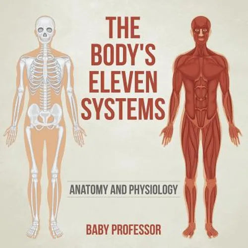 The Body's Eleven Systems Anatomy and Physiology - Paperback