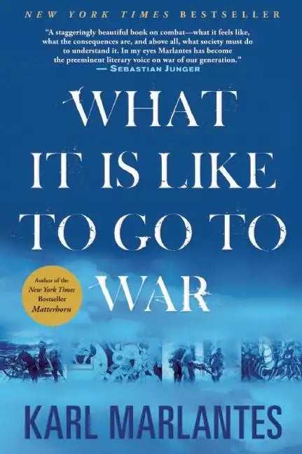 What It Is Like to Go to War - Paperback