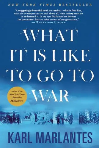 What It Is Like to Go to War - Paperback