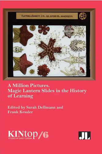 A Million Pictures: Magic Lantern Slides in the History of Learning - Paperback