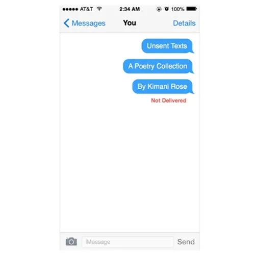 Unsent Texts - Paperback