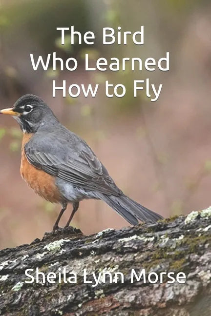 The Bird Who Learned How to Fly - Paperback