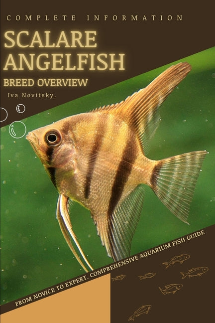 Scalare Angelfish: From Novice to Expert. Comprehensive Aquarium Fish Guide - Paperback