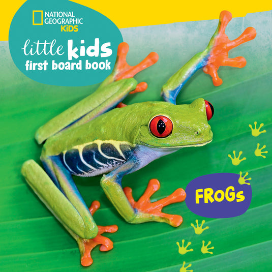 Little Kids First Board Book: Frogs - Board Book