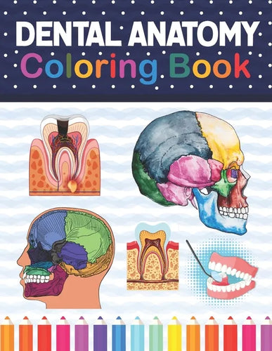 Dental Anatomy Coloring Book: Fun and Easy Adult Coloring Book for Dental Assistants, Dental Students, Dental Hygienists, Dental Therapists, Periodo - Paperback