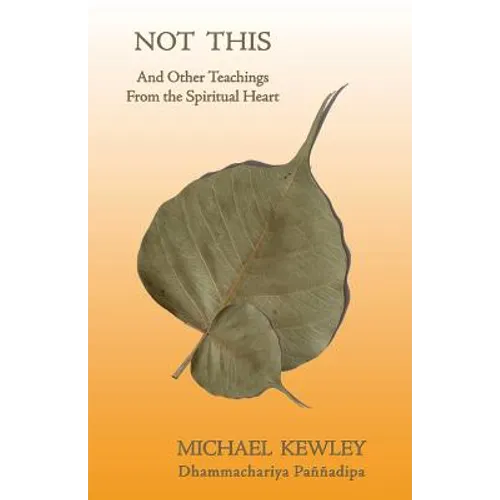 Not This - Paperback