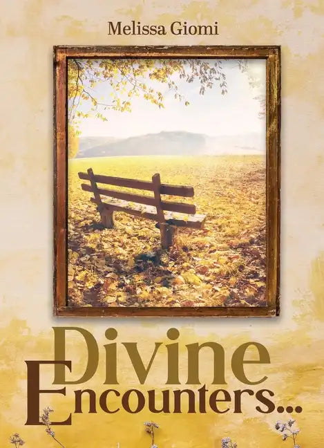 Divine Encounters... - Paperback