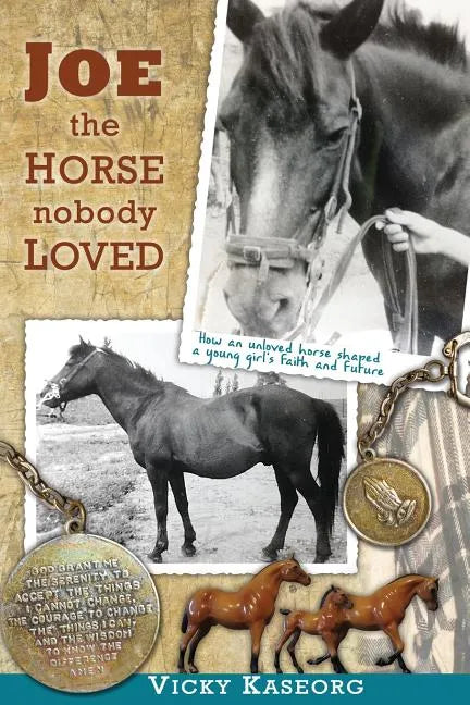 Joe -- the Horse Nobody Loved - Paperback