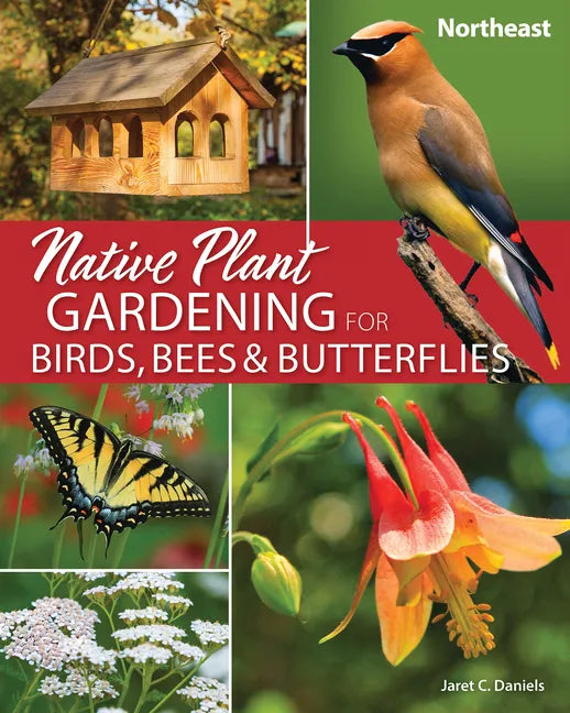 Native Plant Gardening for Birds, Bees & Butterflies: Northeast - Paperback
