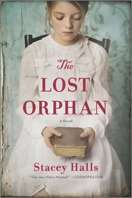 The Lost Orphan - Paperback