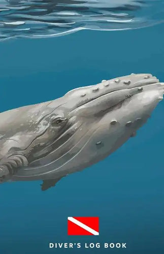 Diver's Log Book: scuba diving log book 100 dives - Paperback